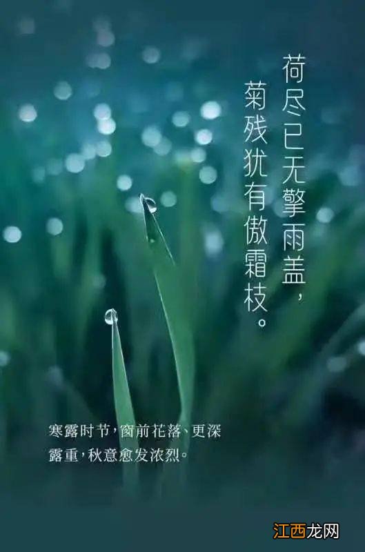 今天寒露是几点,2022寒露节气具体时间几点几分