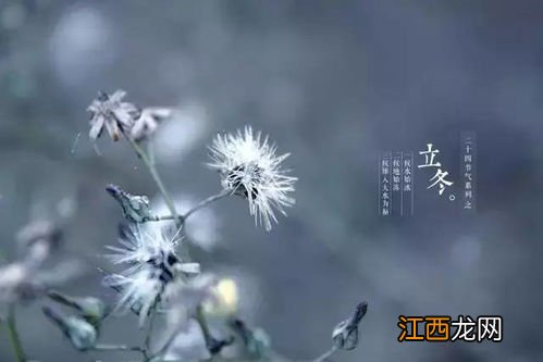 立冬下雨预示着什么 立冬下雨好还是不好