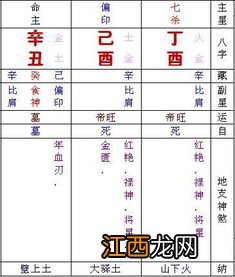 五行生辰八字查询起名 宝宝取名100分名字