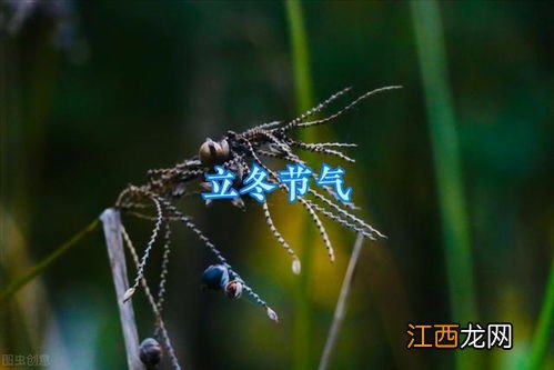 立冬下雨好吗冬天冷吗 立冬一定会下雨吗