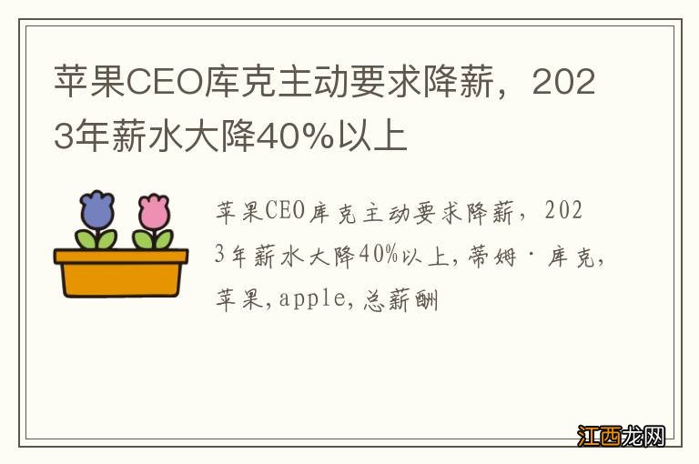 苹果CEO库克主动要求降薪，2023年薪水大降40%以上