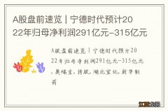 A股盘前速览 | 宁德时代预计2022年归母净利润291亿元-315亿元