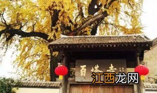 西安百塔寺怎么走 带你走进百塔寺