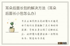 耳朵后面长小包怎么办 耳朵后面长包的解决方法