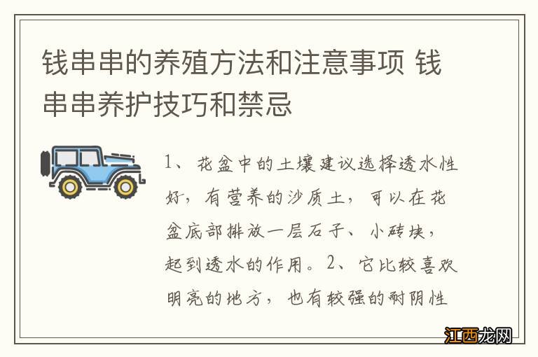 钱串串的养殖方法和注意事项 钱串串养护技巧和禁忌