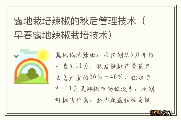 早春露地辣椒栽培技术 露地栽培辣椒的秋后管理技术