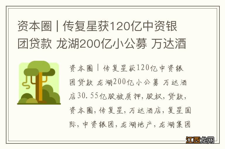 资本圈 | 传复星获120亿中资银团贷款 龙湖200亿小公募 万达酒店30.55亿股被质押