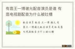 有翡王一博谢允配音演员是谁 有翡电视剧配音为什么被吐槽