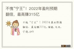 不愧“宁王”！2022年盈利预期翻倍，最高赚315亿