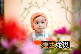 宝宝八字起名 五行属木名字大全