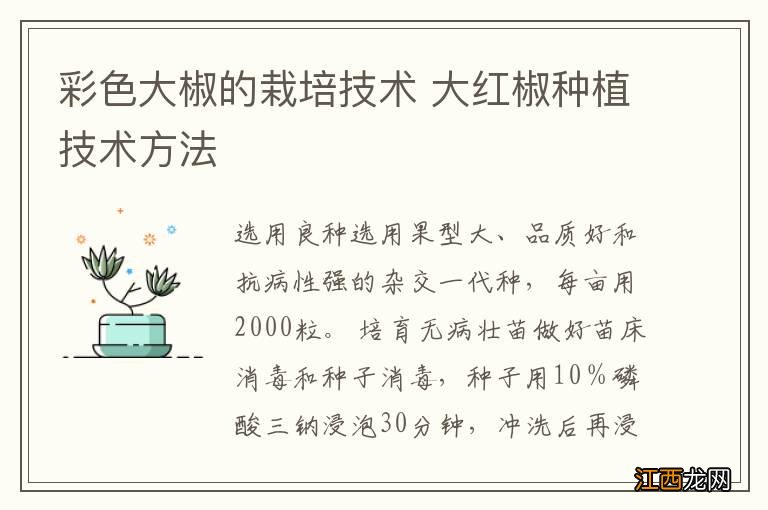 彩色大椒的栽培技术 大红椒种植技术方法