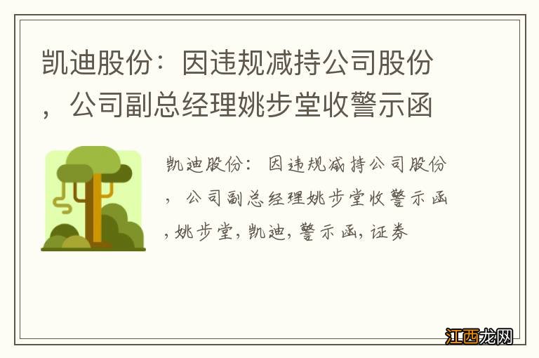 凯迪股份：因违规减持公司股份，公司副总经理姚步堂收警示函