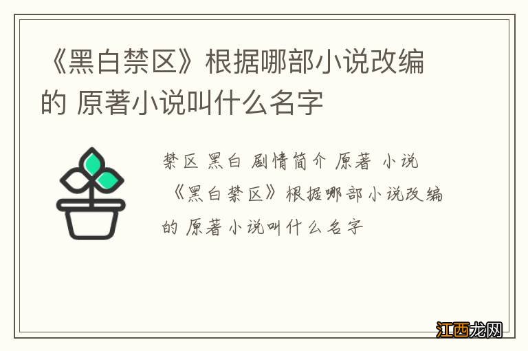 《黑白禁区》根据哪部小说改编的 原著小说叫什么名字