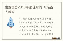 南雄银杏2019年最佳时间 你准备去看吗