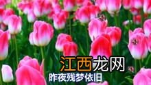 花落相思梦原唱 超好听