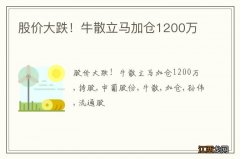 股价大跌！牛散立马加仓1200万