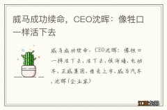 威马成功续命，CEO沈晖：像牲口一样活下去