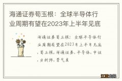 海通证券荀玉根：全球半导体行业周期有望在2023年上半年见底