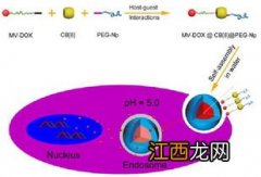 分子科学与工程专业就业方向与就业前景怎么样