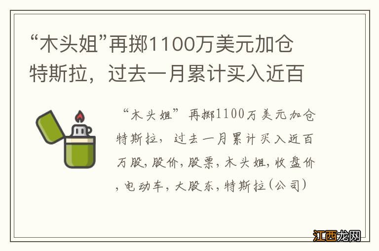 “木头姐”再掷1100万美元加仓特斯拉，过去一月累计买入近百万股