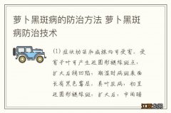 萝卜黑斑病的防治方法 萝卜黑斑病防治技术