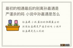 最初的相遇最后的别离孙嘉遇是严谨杀的吗 小说中孙嘉遇是怎么死的