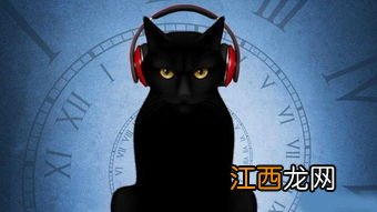 薛定谔的猫原理是什么 薛定谔的猫是什么意思