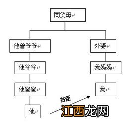 几代不算近亲关系 了解一下