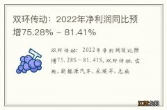 双环传动：2022年净利润同比预增75.28% - 81.41%