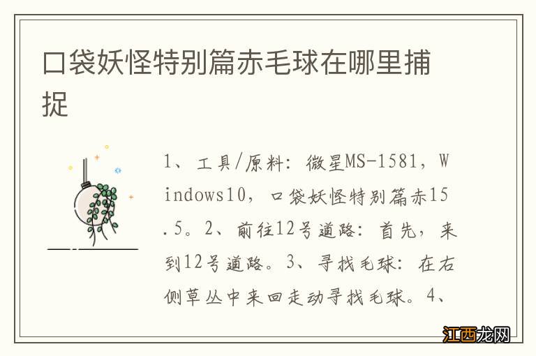 口袋妖怪特别篇赤毛球在哪里捕捉