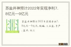 苏盐井神预计2022年实现净利7.8亿元—9亿元