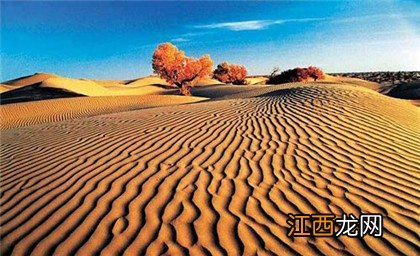 中国八大沙漠四大沙地是哪些，中国的八大沙漠有哪些