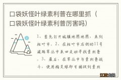 口袋妖怪叶绿素利普厉害吗 口袋妖怪叶绿素利普在哪里抓