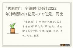 “秀肌肉”！宁德时代预计2022年净利润291亿元-315亿元，同比增长83%-98%