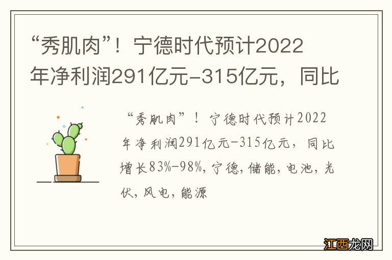 “秀肌肉”！宁德时代预计2022年净利润291亿元-315亿元，同比增长83%-98%