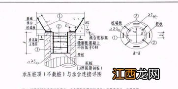 桩与承台进行可靠连接的要求有哪些 要求大全