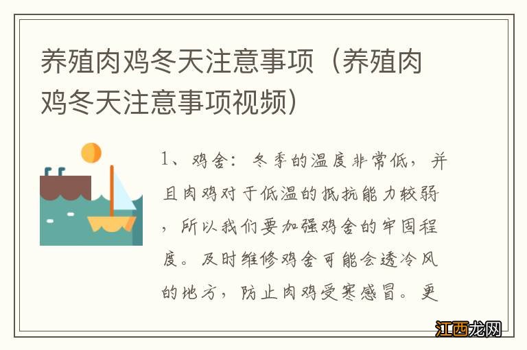 养殖肉鸡冬天注意事项视频 养殖肉鸡冬天注意事项