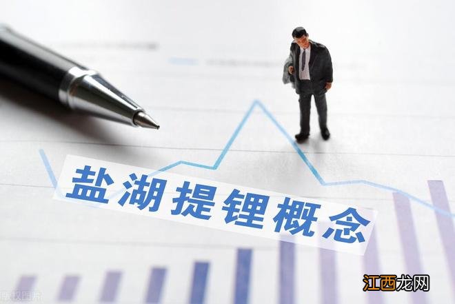 中国吸附分离领军企业,掌握盐湖提锂核心技术,利润率43%,社保持股