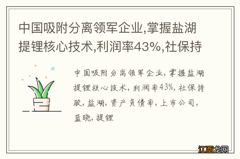 中国吸附分离领军企业,掌握盐湖提锂核心技术,利润率43%,社保持股