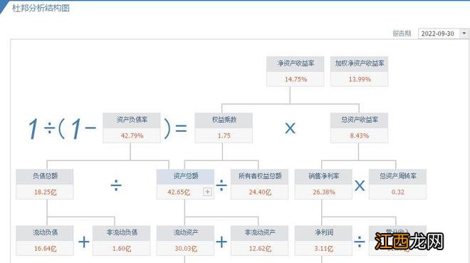 中国吸附分离领军企业,掌握盐湖提锂核心技术,利润率43%,社保持股