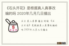 《石头开花》是根据真人真事改编的吗 2020年几月几日播出