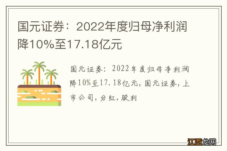 国元证券：2022年度归母净利润降10%至17.18亿元