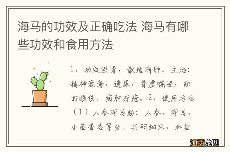 海马的功效及正确吃法 海马有哪些功效和食用方法