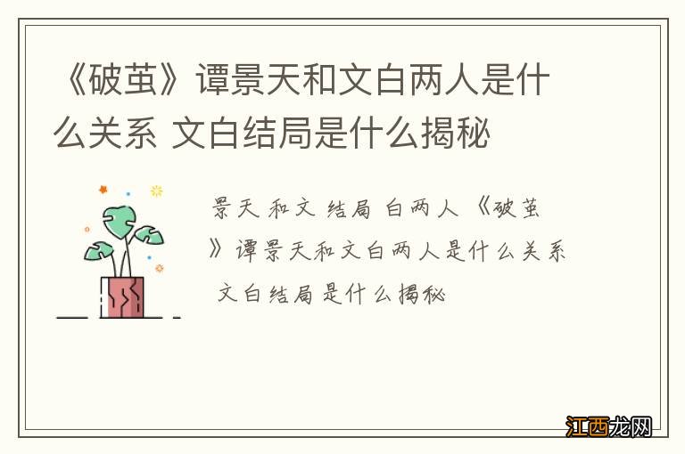 《破茧》谭景天和文白两人是什么关系 文白结局是什么揭秘