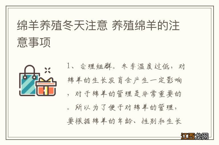 绵羊养殖冬天注意 养殖绵羊的注意事项