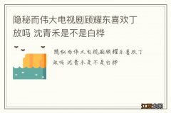 隐秘而伟大电视剧顾耀东喜欢丁放吗 沈青禾是不是白桦