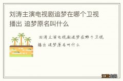 刘涛主演电视剧追梦在哪个卫视播出 追梦原名叫什么