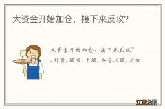 大资金开始加仓，接下来反攻？