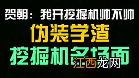 贺朝开挖掘机哪一章 伪装学渣具体介绍