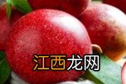 无花果干泡水喝好还是直接吃好 无花果干泡水喝的功效